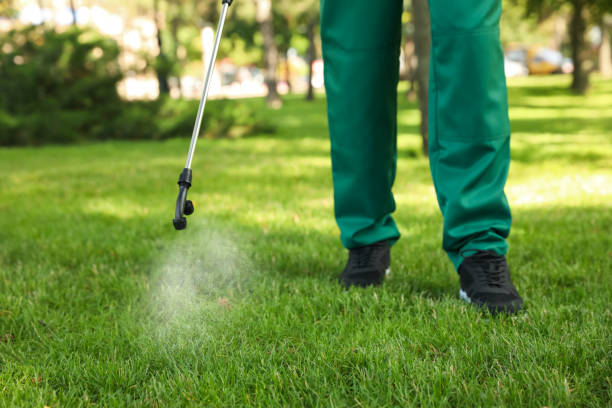 Best Pest Removal Services  in Lake Norman Of Catawba, NC